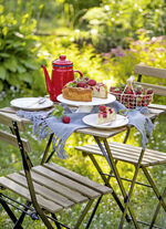 VapoWesp rookbox om wespen op afstand te houden 