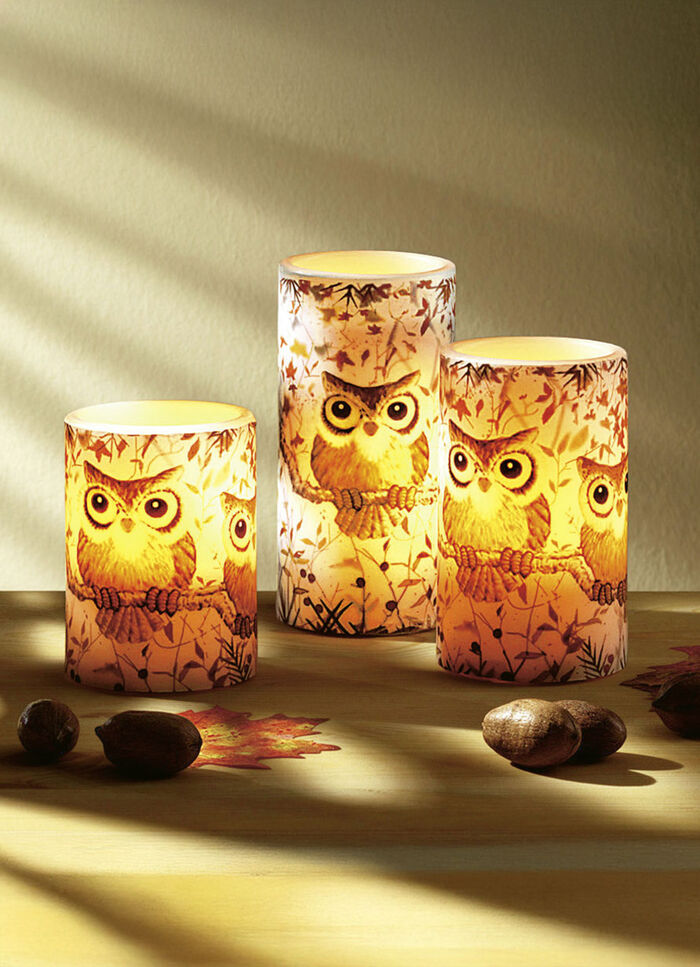 Echte waskaarsen met leds met uilenmotief, set van 3 