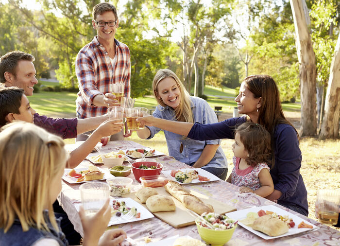 VapoWesp rookbox om wespen op afstand te houden 