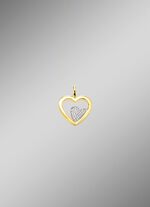 Hartvormige hanger in bicolor met synthetische zirkonia 