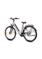 E-bike Comfort Plus 5.0 van Saxonette 