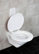 Toiletbril XXL met extra brede zitting 