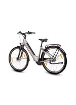 E-bike Comfort Plus 5.0 van Saxonette 