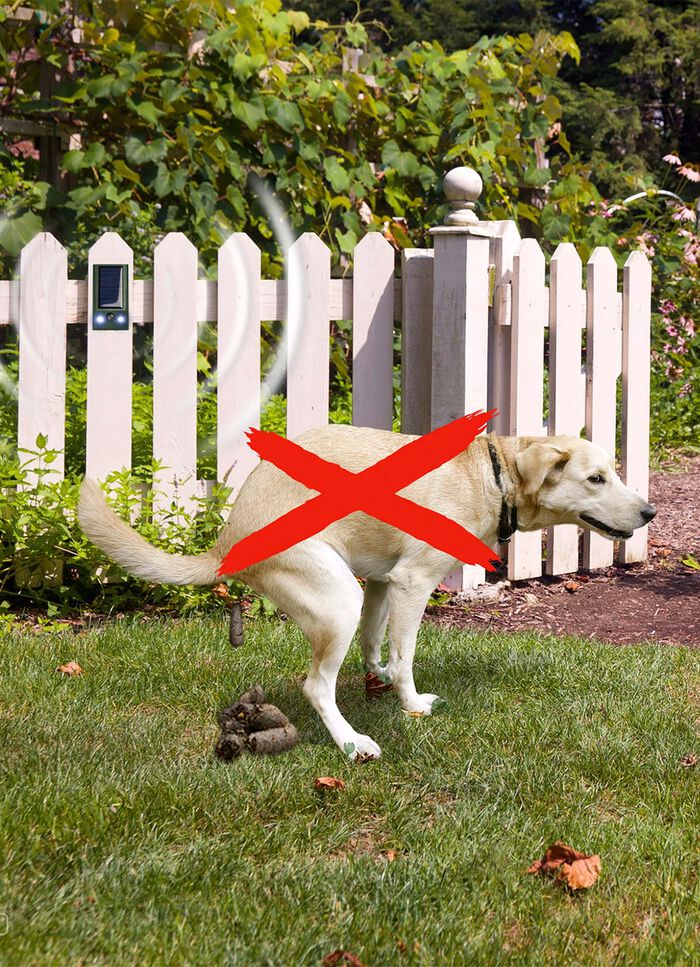 Solar-dierafweer Basic 