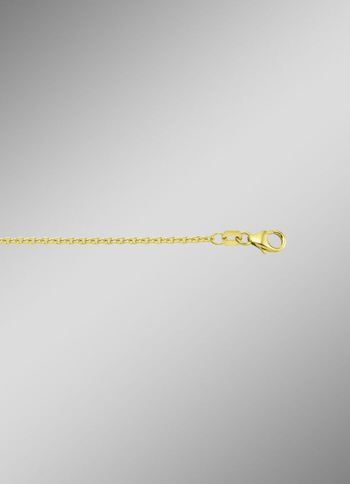 Gouden ankerketting 