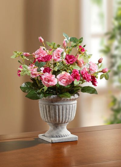 Arrangement met wilde rozen in de trofee 