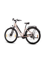 E-Bike Comfort Sport Easy van SAXXX 