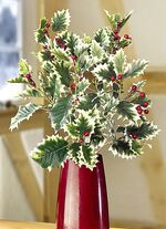 Hulsttakken, set van 3 