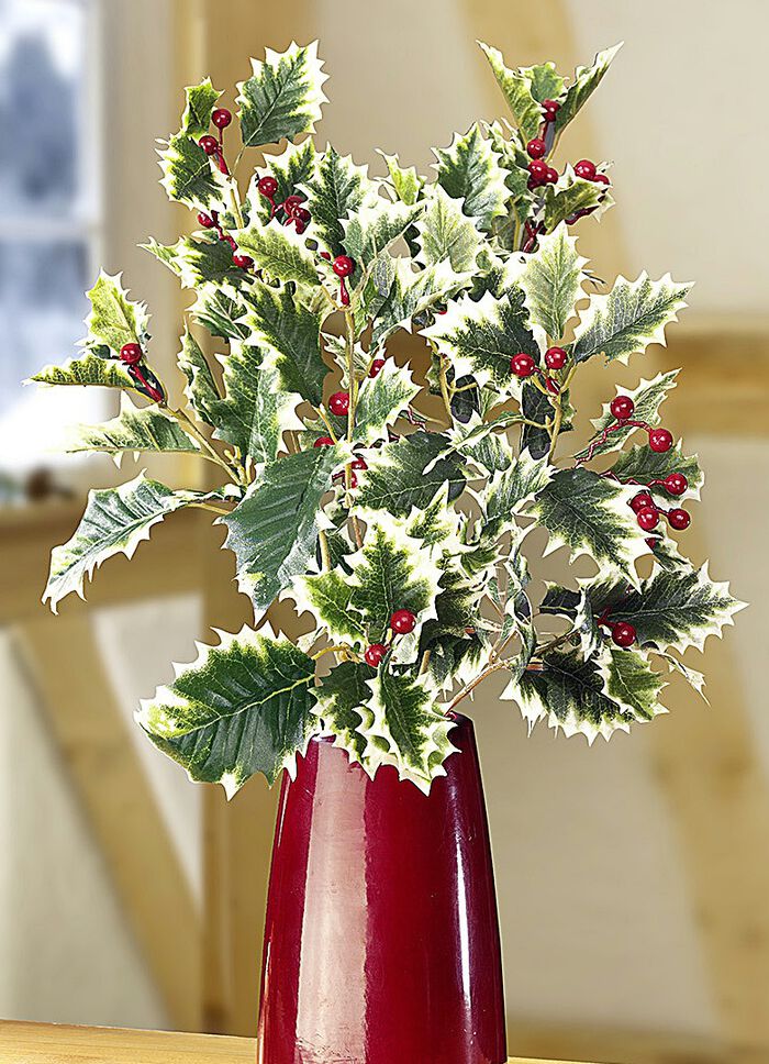 Hulsttakken, set van 3 