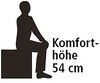 Logo_Komforthoehe_54_cm