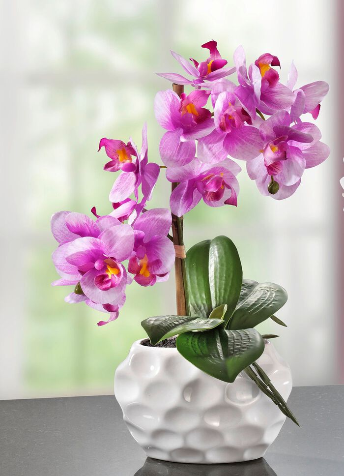 Orchideeënarrangement in keramieken vaas ROZE
