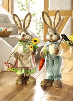 Hazen in verschillende uitvoeringen BRUIN