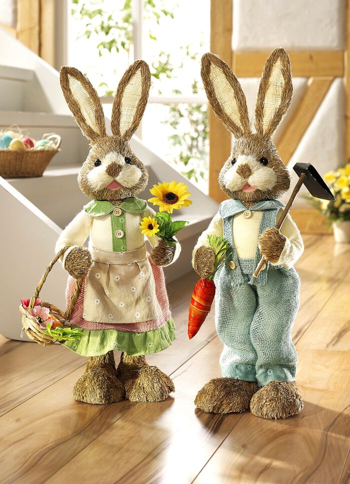 Hazen in verschillende uitvoeringen BRUIN