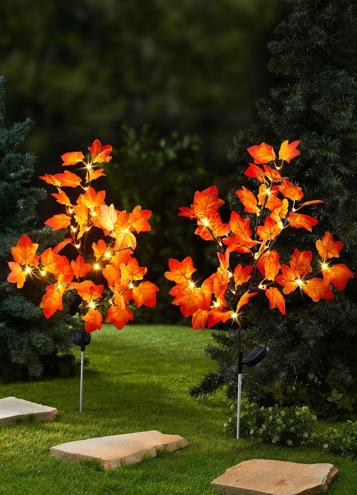 Herfstachtige LED-esdoornstak 