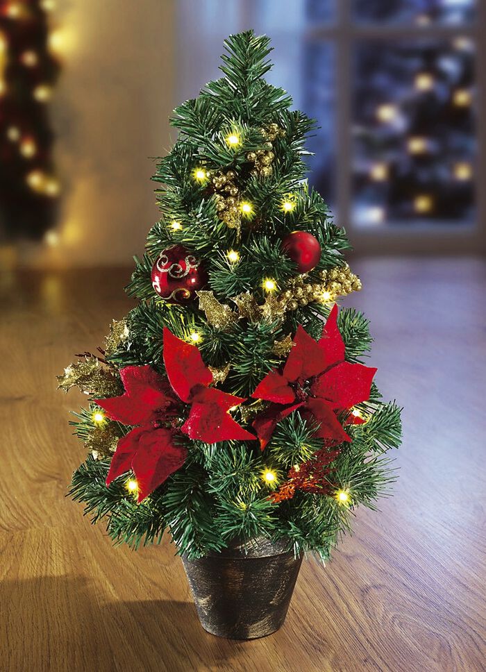 Verlichte dennenboom 