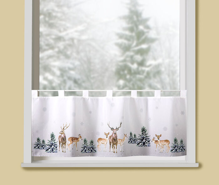 Korte poortherten in het bos 