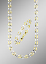 Elegante en hoogwaardige set in tweekleurig design 
