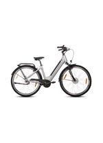 E-bike Comfort Plus 5.0 van Saxonette 