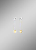 Prachtige oorbellen in twee kleuren 