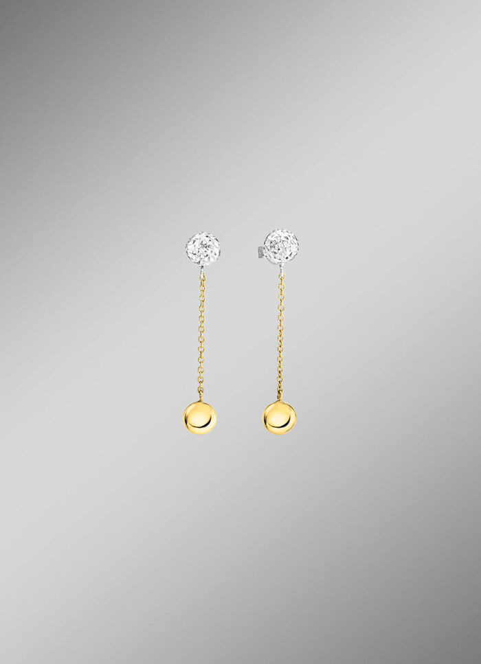 Prachtige oorbellen in twee kleuren 