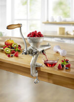 Gietijzeren fruit- en bessenpers 