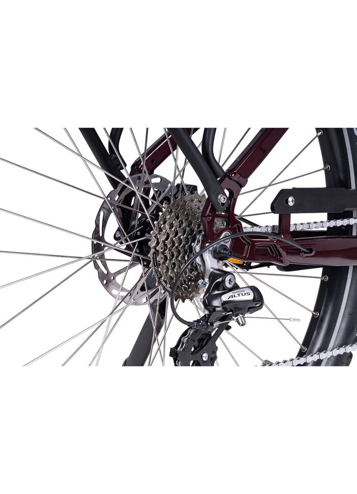 E-Bike Deluxe SUV Gemakkelijk 