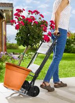 Opvouwbare trolley met traplading 