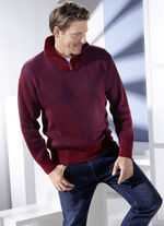 Troyer met korte ritssluiting in 3 kleuren BORDEAUX-BLAUW