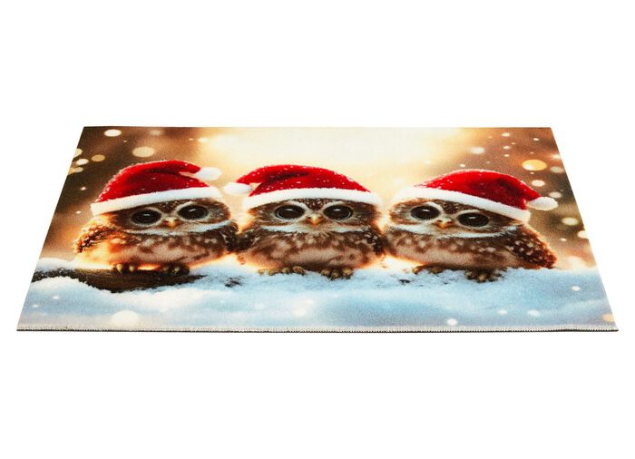 Deurmat met antislip rubberen achterkant 