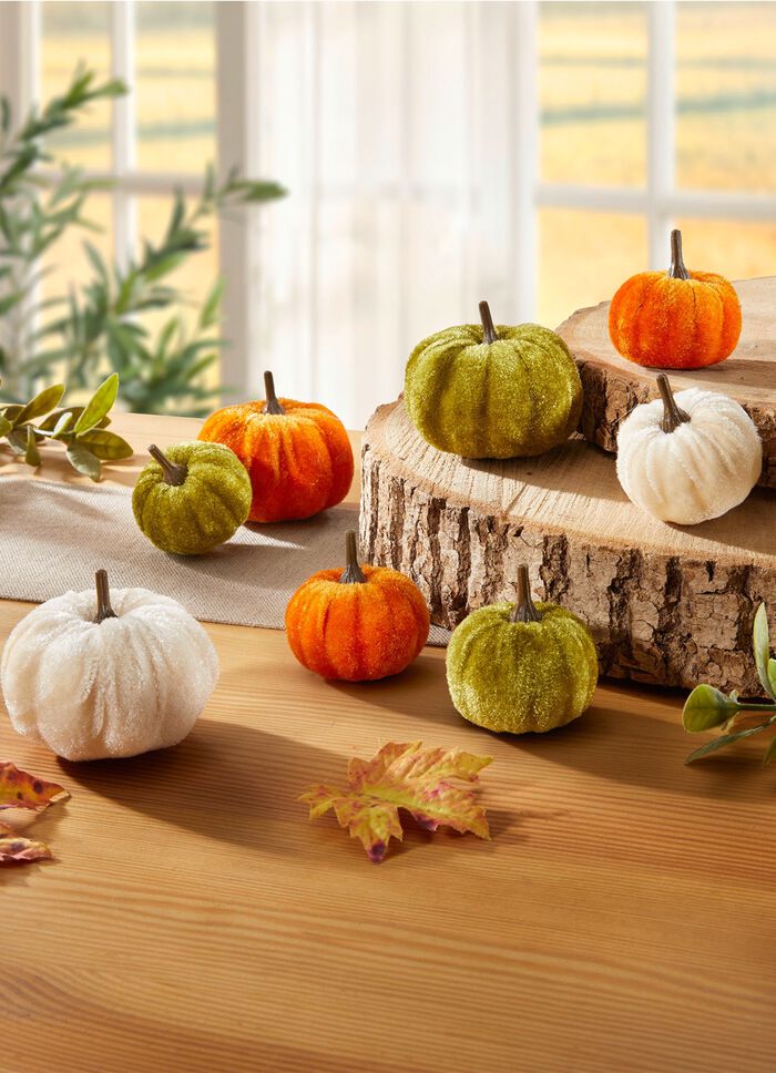 Decoratieve pompoenen, set van 8 