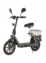 De compacte elektrische scooter voor dagelijks gebruik en vrije tijd GRIJS