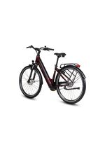 E-bike Comfort Plus 5.0 van Saxonette 
