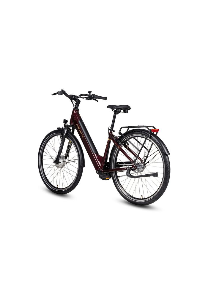 E-bike Comfort Plus 5.0 van Saxonette 
