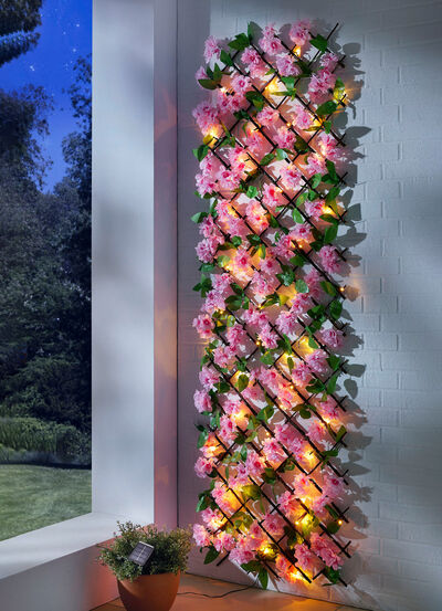 Verlicht wandrooster 