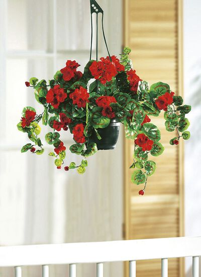 Geranium hangpot met bedrieglijk echt lijkende geraniums 