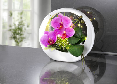 Opstelling met LED-verlichting 