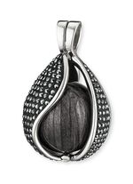 Hanger inclusief traan van de hemel 