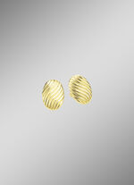 Prachtige oorbellen met groefontwerp 