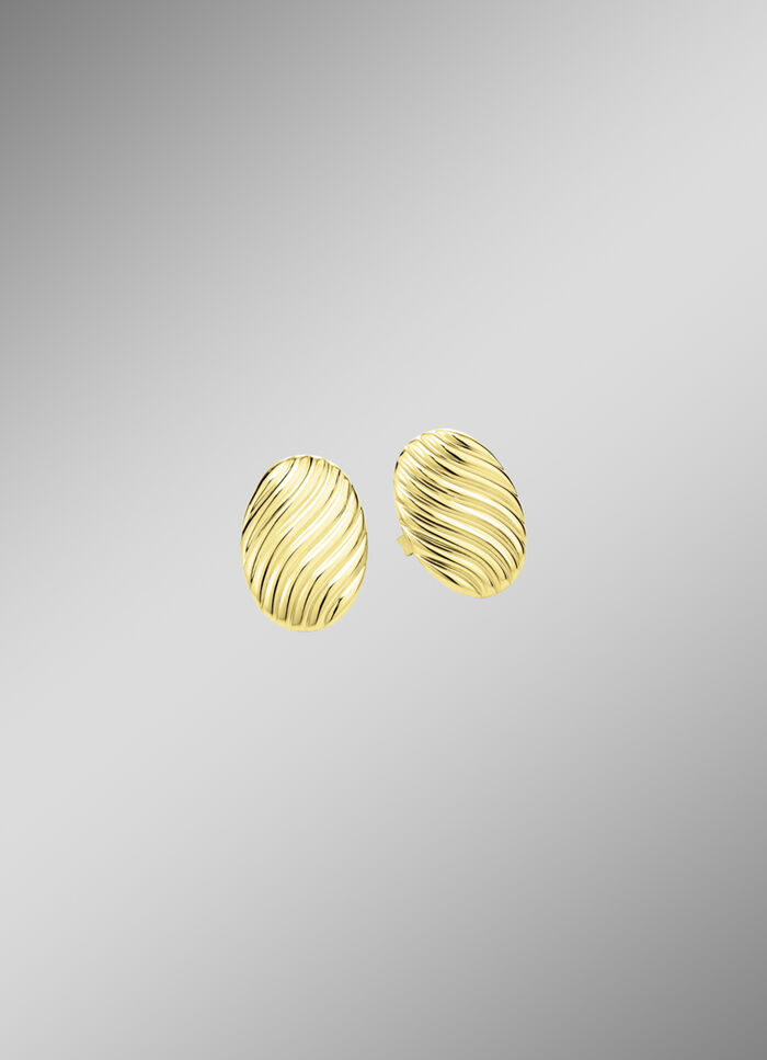 Prachtige oorbellen met groefontwerp 