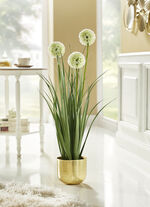 Allium arrangement in een pot 