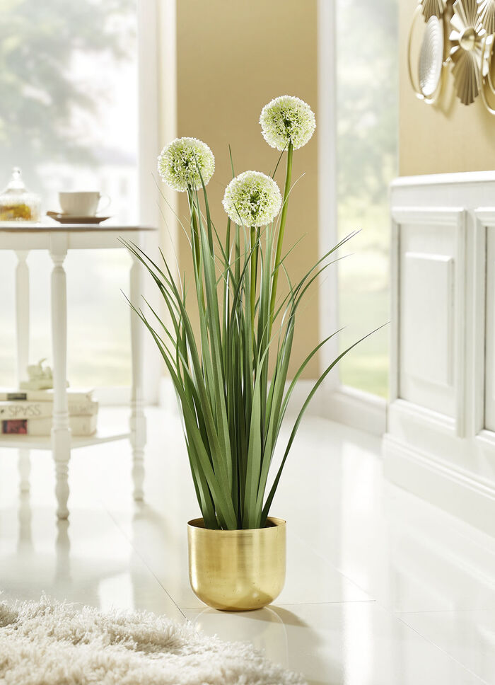 Allium arrangement in een pot 