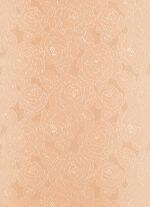 Overgordijn met universele railband POEDER