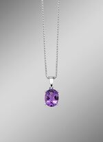 Hanger met Venezia ketting 