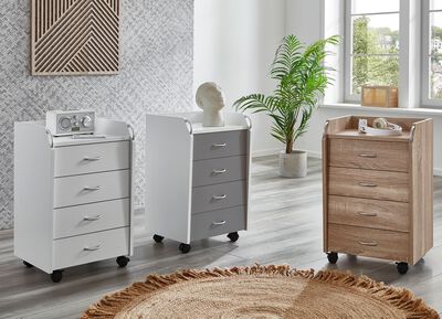 Rolcontainer met 4 laden 