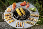 Landmann houtskoolgrill 
