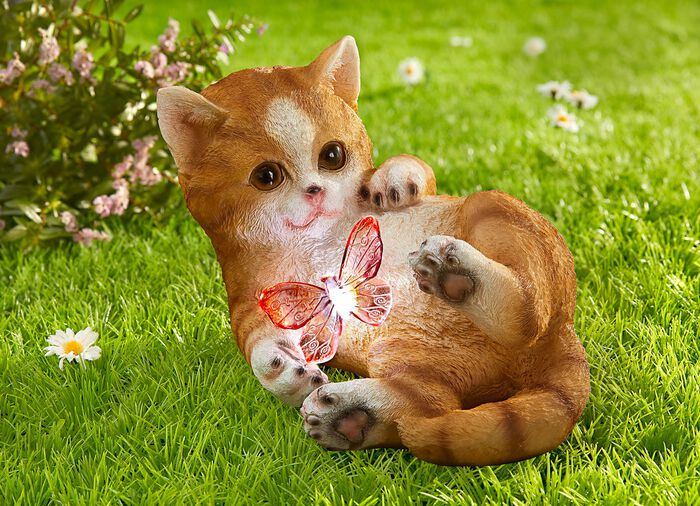 Katje met zonnevlinder 