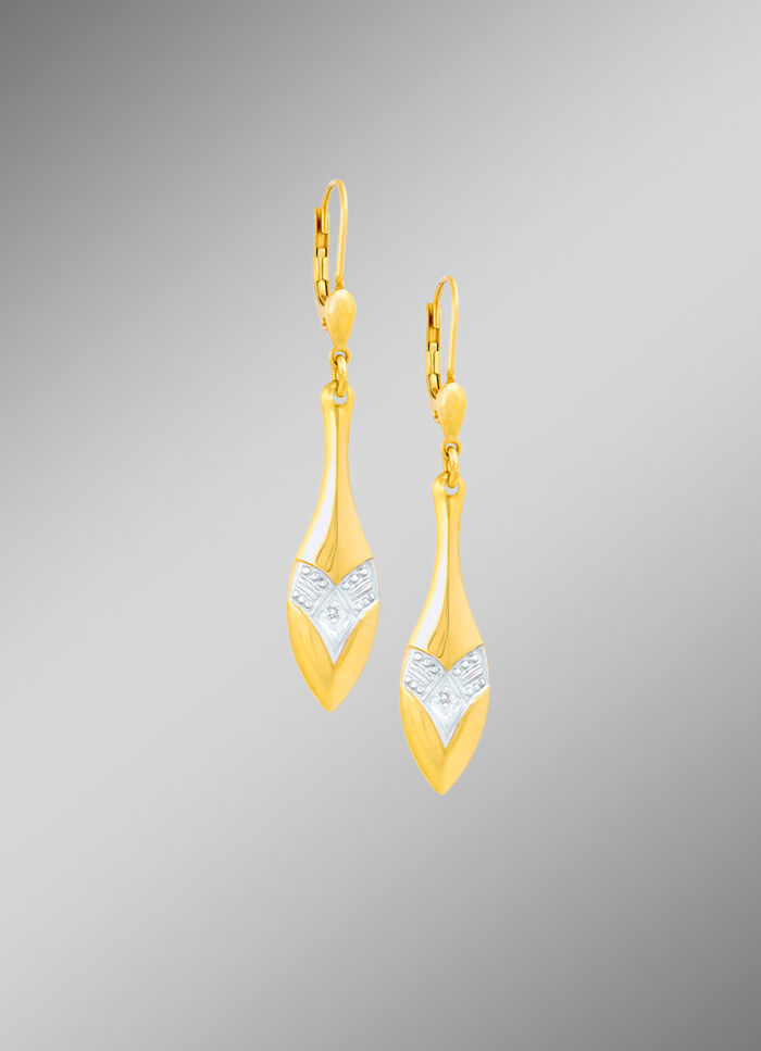 Charmante oorbellen in bicolor met diamanten 