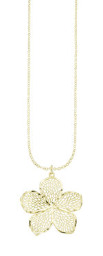 Schattige bloemenhanger met ankerketting