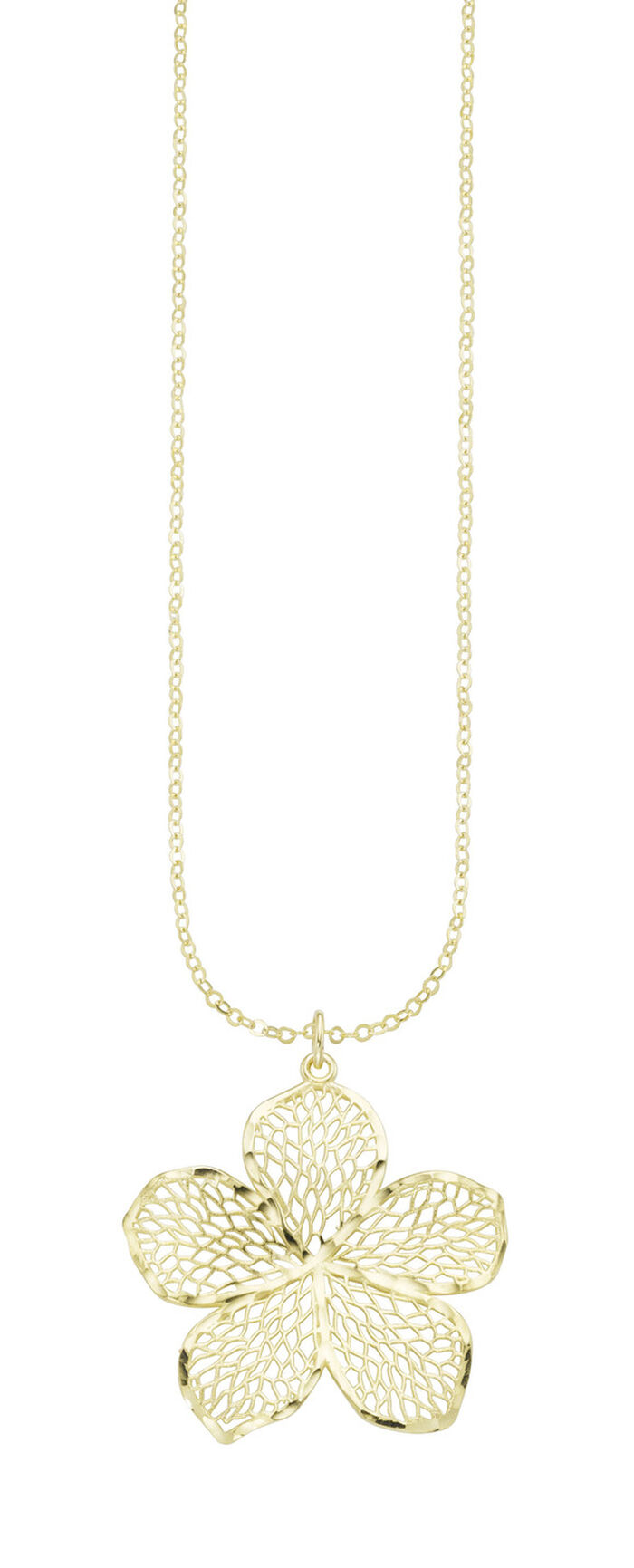 Schattige bloemenhanger met ankerketting