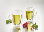 Temperatuurbestendige glazenset, 2 stuks TRANSPARANT
